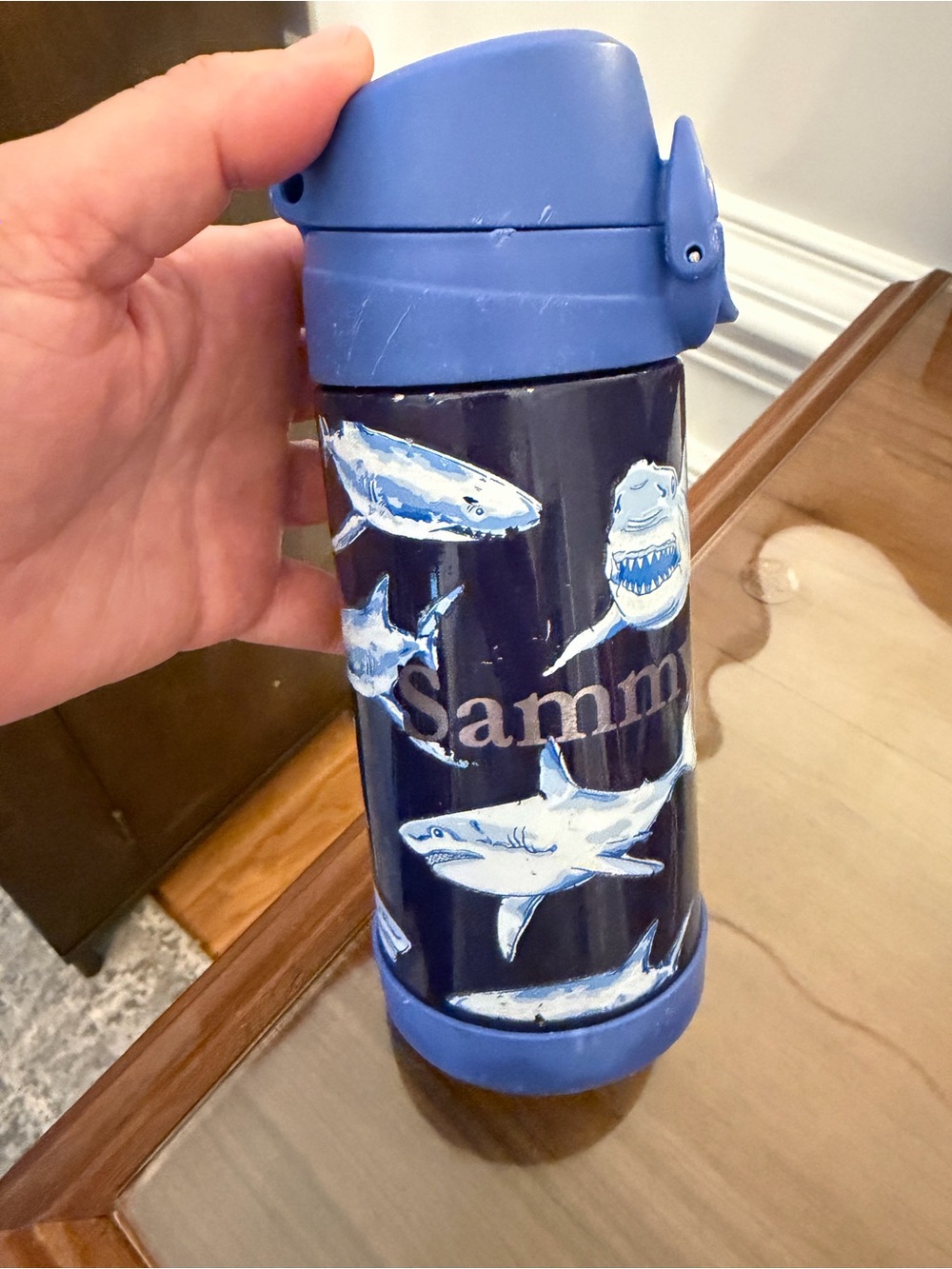 Pottery Barn Kids Glow in the Dark  Shark Stainless Water Bottle - “Sammy”